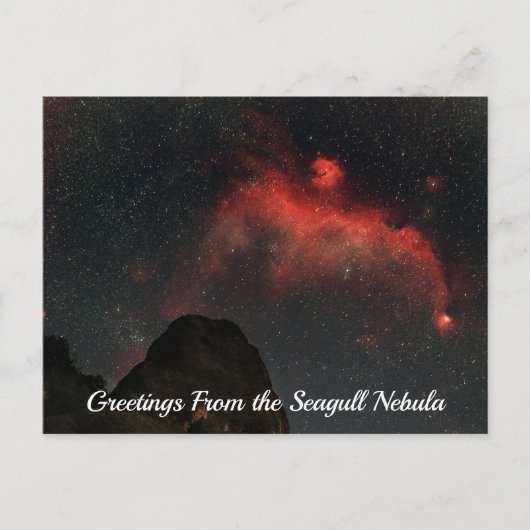 Seagull Nebula Postcard Briefkaart (Voorkant)