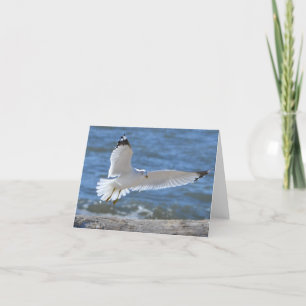 Seagull Notecard Kaart