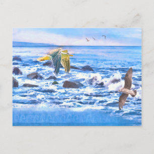 SEAGULL OCEAN PLAYGROUND BRIEFKAART