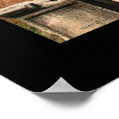 Seagull op het Poster Forum (Hoek)