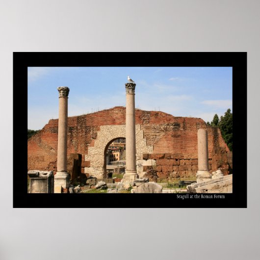 Seagull op het Poster Forum (Voorkant)