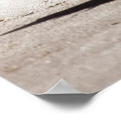 Seagull op Virginia Beach Poster (Hoek)