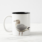 Seagull Photo Mug (Gauche)