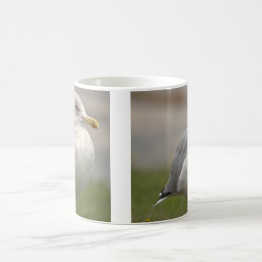 Seagull Photo Mug (Centre)