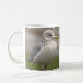 Seagull Photo Mug (Gauche)
