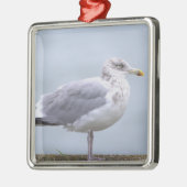 Seagull Photo Ornament  (Links)