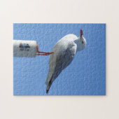 Seagull Puzzle Legpuzzel (Horizontaal)