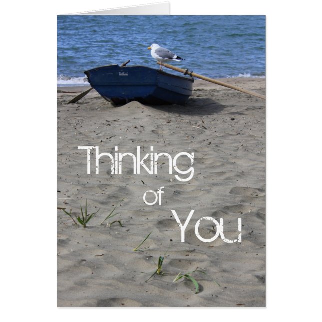 Seagull Sailor (Voorkant)