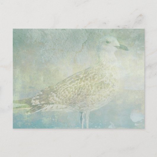 Seagull Sonata Briefkaart (Voorkant)