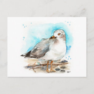 Seagull Studie 2 Briefkaart