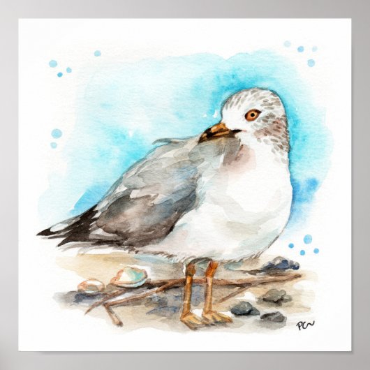 Seagull Studie 2 Poster (Voorkant)