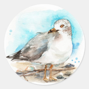 Seagull Studie 2 Ronde Sticker