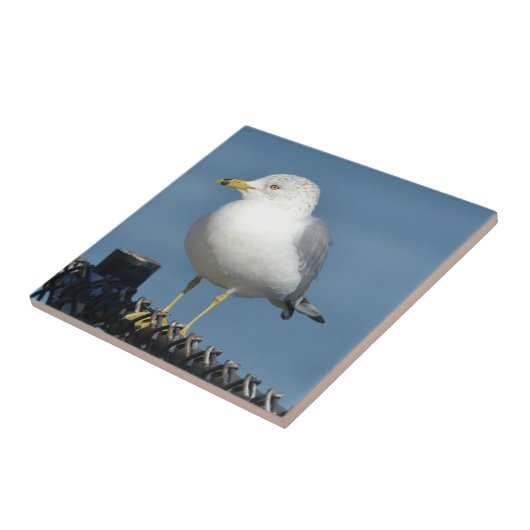 Seagull Tile Tegeltje (Zijkant)