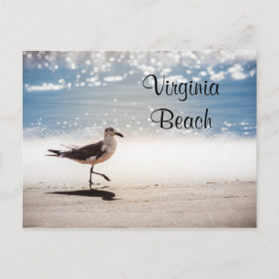 Seagull Walking op Virginia Beach Briefkaart