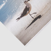 Seagull Walking op Virginia Beach Tissuepapier (Detail)