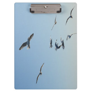 Seagull Wildlife Coastal Design for Field Notes Klembord