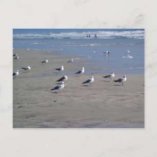 SEAGULLEN OP DE BAND BRIEFKAART