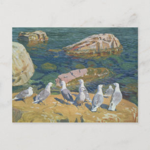 Seagulls, 1910 briefkaart