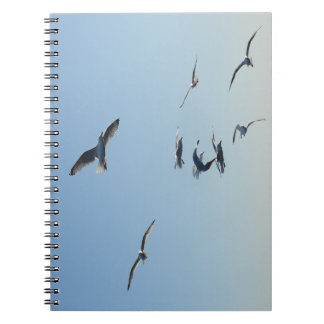 Seagulls in Flight Coastal Bird | Seaside Notitieboek