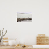 Seagulls on Rocks Poster (Cuisine)