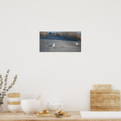 Seagulls op Wildlife Drive Poster (Keuken)