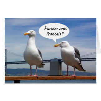 Seagulls spreken Frans