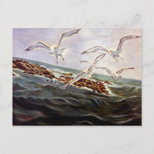 Seagulls van het Briefkaart van Kindness