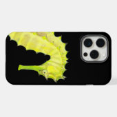 Seahorse (Verso Horizontal)