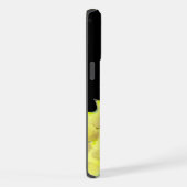 Seahorse (Côté droit)