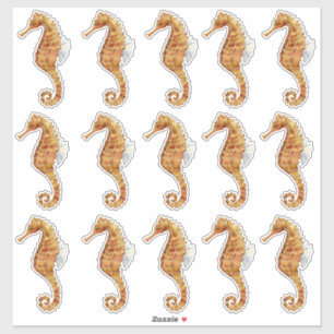 Seahorse 15 Large Waterverf Painted Transparent Sticker