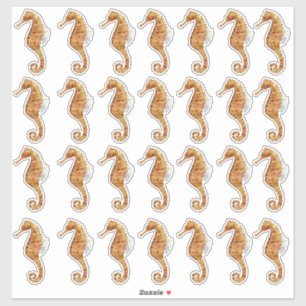 Seahorse 28 Waterverf Geschilderd Transparant Sticker