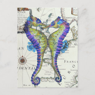 Seahorse Blue Briefkaart