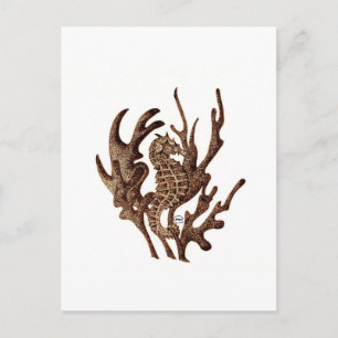 Seahorse Briefkaart