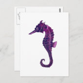 Seahorse Briefkaart (Voorkant / Achterkant)