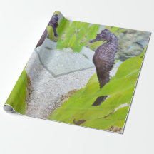 Seahorse cadeauverpakking