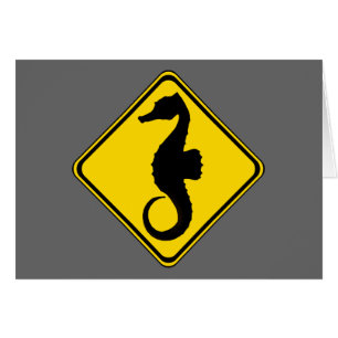 Seahorse Crossing!