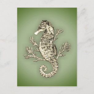 Seahorse en Coral on Green Background Briefkaart