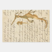  Seahorse en Script Inpakpapier Vel (Voorkant 3)