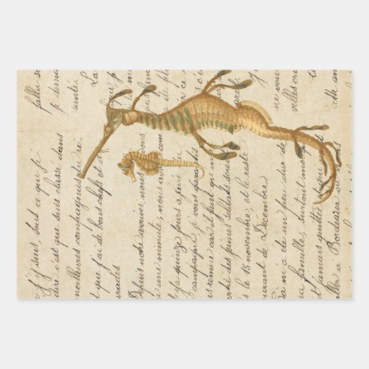 Seahorse en Script Inpakpapier Vel (Voorkant)