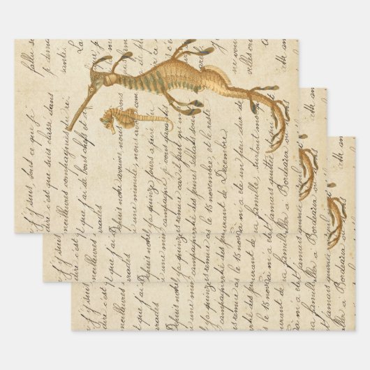  Seahorse en Script Inpakpapier Vel (Set)