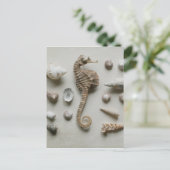 Seahorse en Shells Briefkaart (Staand voorkant)