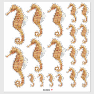 Seahorse familie 18 Waterverf gekleurd transparant Sticker