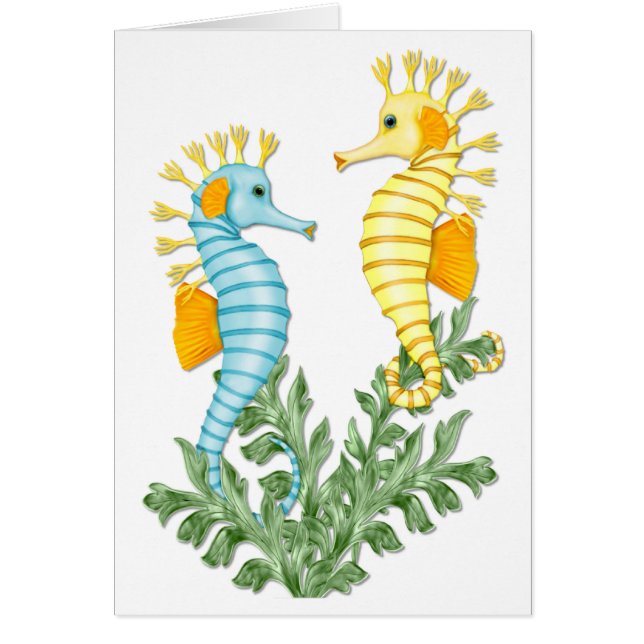 Seahorse Fantasy (Voorkant)