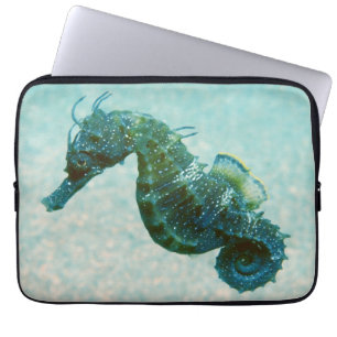 Seahorse met korte naam Krim, Rusland Laptop Sleeve