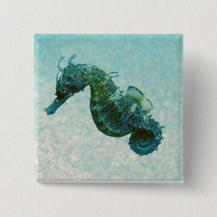 Seahorse met korte naam Krim, Rusland Vierkante Button 5,1 Cm