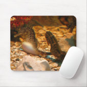 Seahorse mousepad muismat (Met muis)