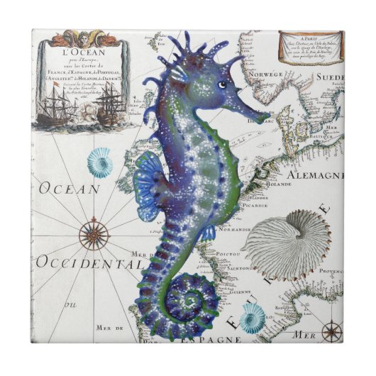 Seahorse Old Map Tegeltje (Voorkant)