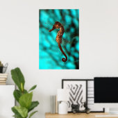 Seahorse Poster (Thuiskantoor)