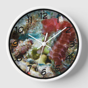 Seahorse round Wall klok