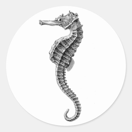"SEAHORSE" SEALIFE ENVELOPE SEAL STICKER (Voorkant)